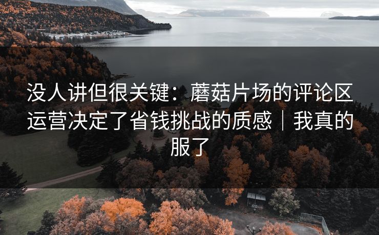 没人讲但很关键：蘑菇片场的评论区运营决定了省钱挑战的质感｜我真的服了
