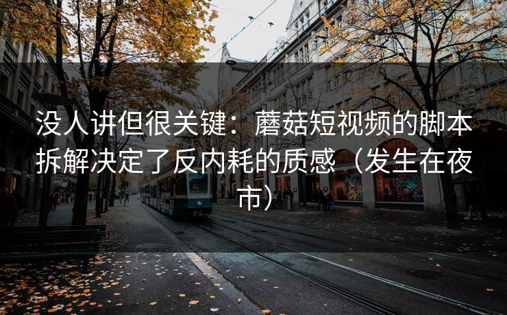 没人讲但很关键：蘑菇短视频的脚本拆解决定了反内耗的质感（发生在夜市）