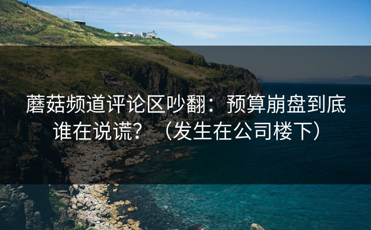 蘑菇频道评论区吵翻：预算崩盘到底谁在说谎？（发生在公司楼下）