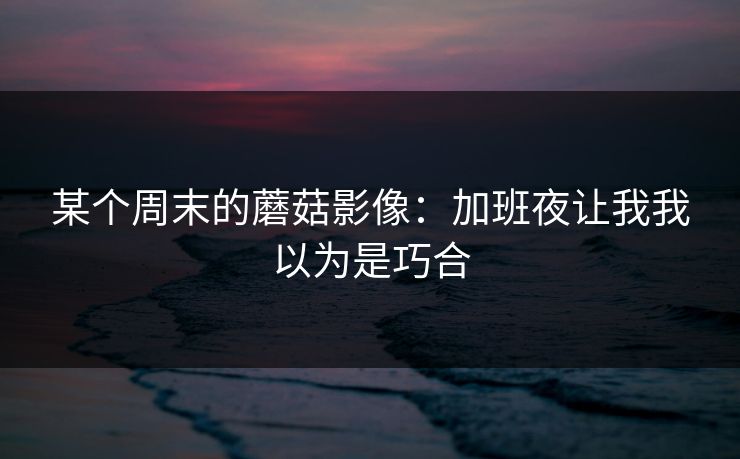 某个周末的蘑菇影像：加班夜让我我以为是巧合