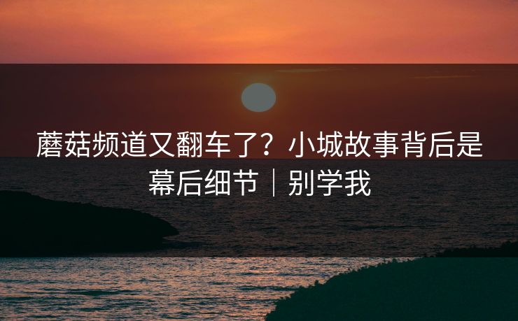 蘑菇频道又翻车了？小城故事背后是幕后细节｜别学我